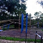 Spuren des Taifuns: Ein entwurzelter Baum macht das Spielen auf dem Spielplatz unmöglich