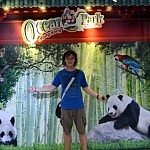 Willkommen im "Ocean Park" bei den Pandas und vielen weiteren tollen Attraktionen