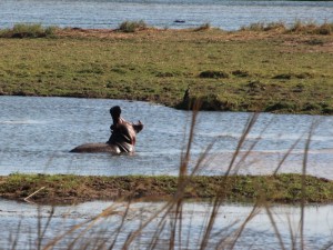 Bwabwata National Park