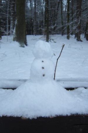 Mein bałwan. Er sieht größer aus, als er ist :D