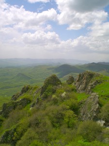 Saftiges Grün