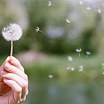 tumblr_m3zw7xvCOm1qmiearo1_1280