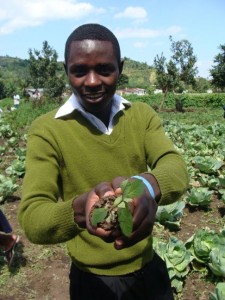 Tree planting in Gisenyi