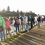 Schon interessant die Seehündchen...