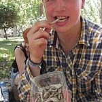 Lamafleisch mhmhmmmh