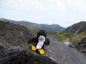 Pinguin unterwegs im Valle de las Trancas