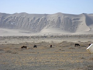 Ein Teil der Wanderduene "Khongoryn Els"
