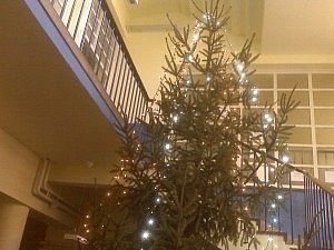 Weihnachtsbaum in der Schule