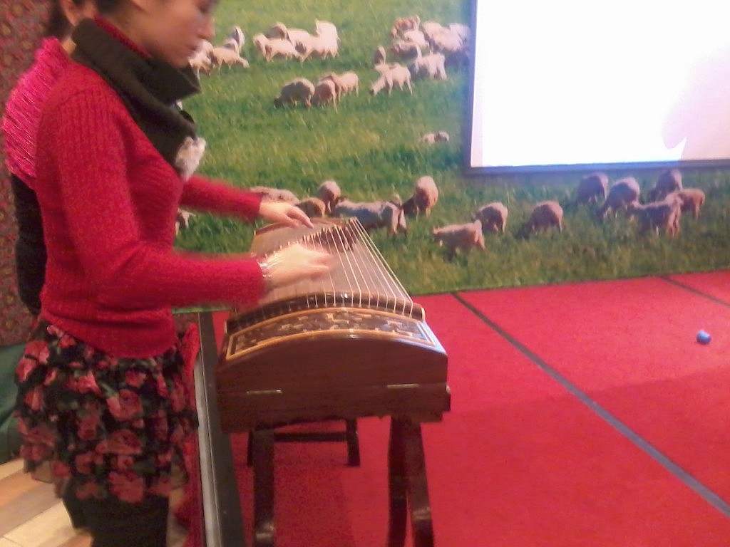 Chinesisches Instrument