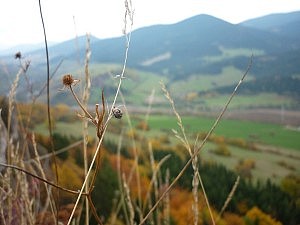 Blick ins Tal von Vyšný Kubín