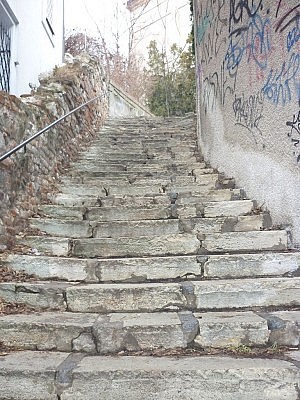 stairway to the castle