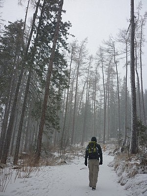 Schnee-Wandern