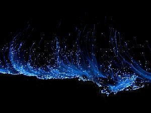http://images.nationalgeographic.com/wpf/media-live/photos/000/501/overrides/glowing-waves-bioluminescent-ocean-life-explained-close-up_50149_600x450.jpg
