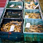 Seafood auf Lamma Island