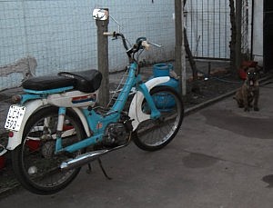 Das Moto meiner Gastmutter