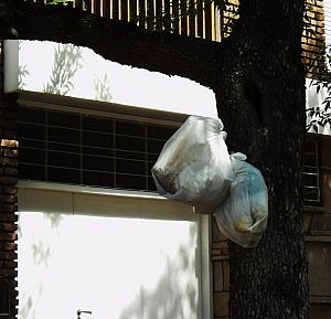 Traveler Digital Camera