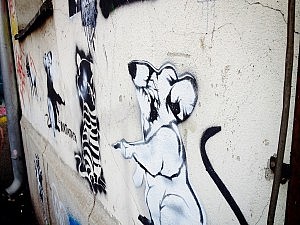 Foto 19.11.14 11 48 54