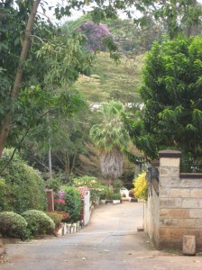 Der Weg runter zu meinem Haus