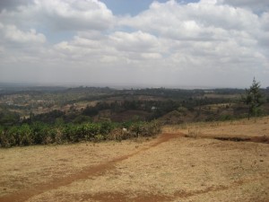 in den Ngong Hills