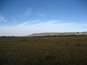 Diese Weite hat mich echt beeindruckt.