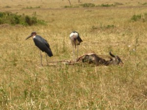 Assfresser sind schon eklig.