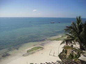 IMG_7317klein IMG_7317klein