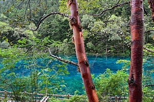 Jiuzhaigou Nationalpark