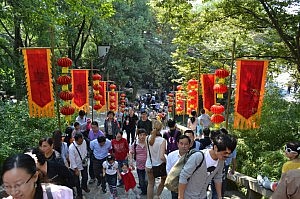 Da muss man schon mal die Ellbogen ausfahren!