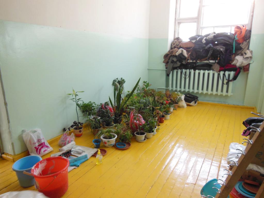 Die Blumen sind schon da