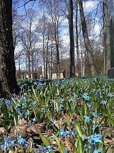 österliches Frühlingswetter ;)