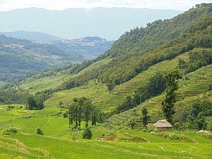 In dem kleinen Häuschen rechts ruhen sich die Menschen zwischendurch aus oder suchen Schutz vor Regen.