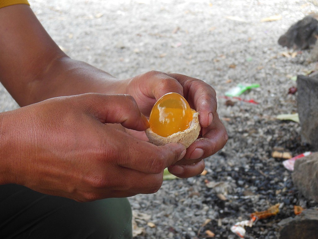Ein präserviertes Ei, das ganz OK schmeckte.
