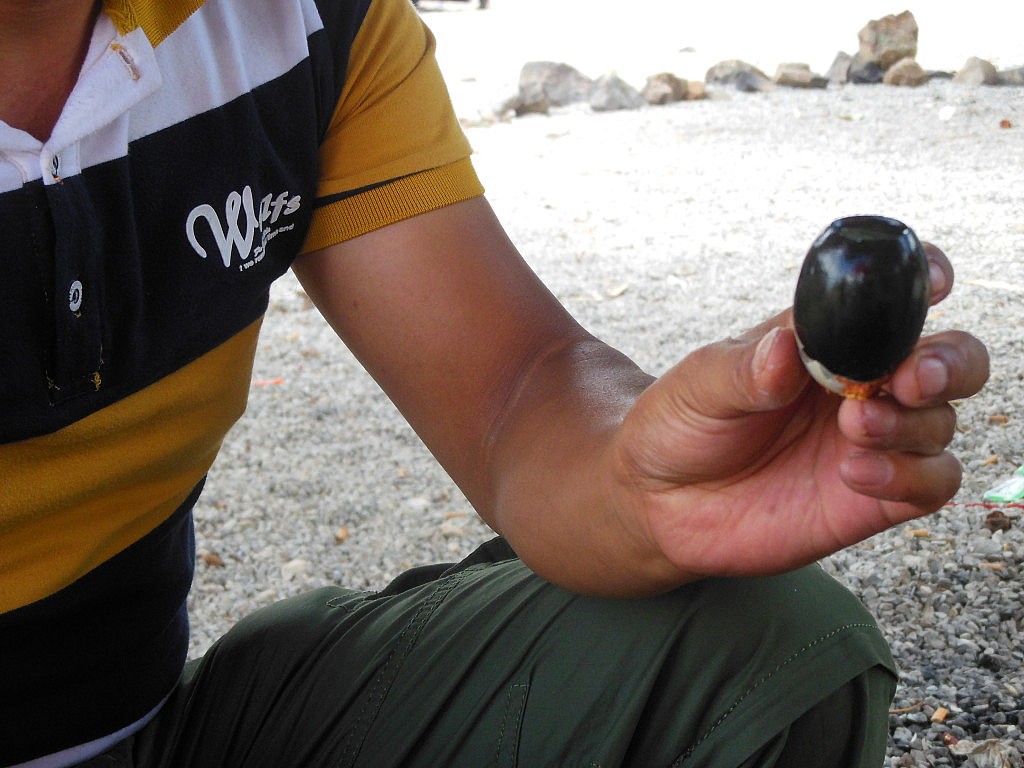 Das hier nicht. Das war wirklich eklig! Intensiver Geschmack nach etwas Undefinierbarem.