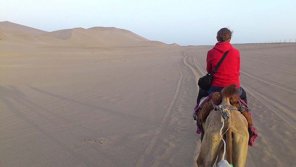 10454987_696291583759942_3057134093321808031_o