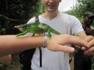 Darf ich vortsellen: Fridolin. Ein sogenanntes Jackson-Chamäleon, weil es immer sich beim laufen immer vor und zurück wiegt :D
