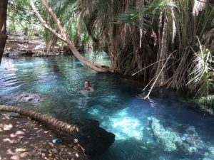 Bevor wir abends wieder nach Dar es Salaam geflogen sind, haben wir einen Stopp bei den sogenannten "heißen Quellen" in der Nähe von Moshi gemacht. Heiß war es dann aber gar nicht, eher lauwarm, dafür aber kristallklares Wasser!!