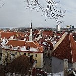 Ein Panorama der Altstadt von Tallinn