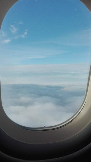 Das bei jeder Reise obligatorische "Ich-sitze-im-Flugzeug"-Foto