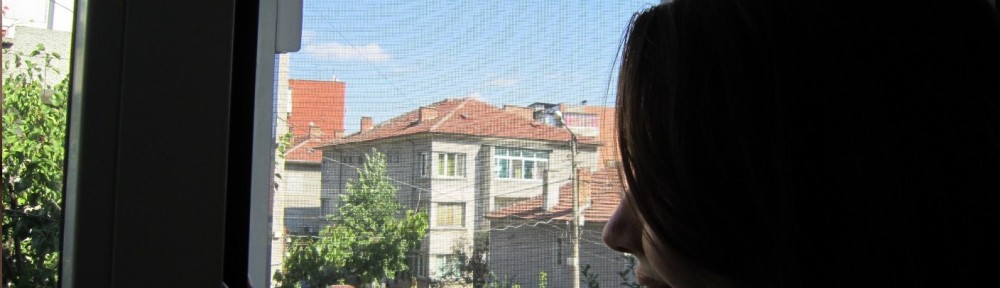 Der Blick aus dem Fenster.