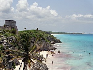 DSC03908
