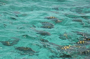 IMG_5673