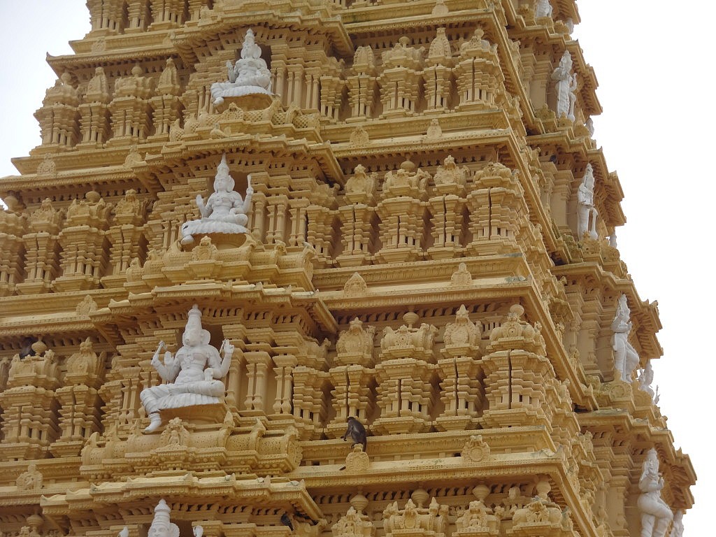 Suchbild. Wer findet den Affen?