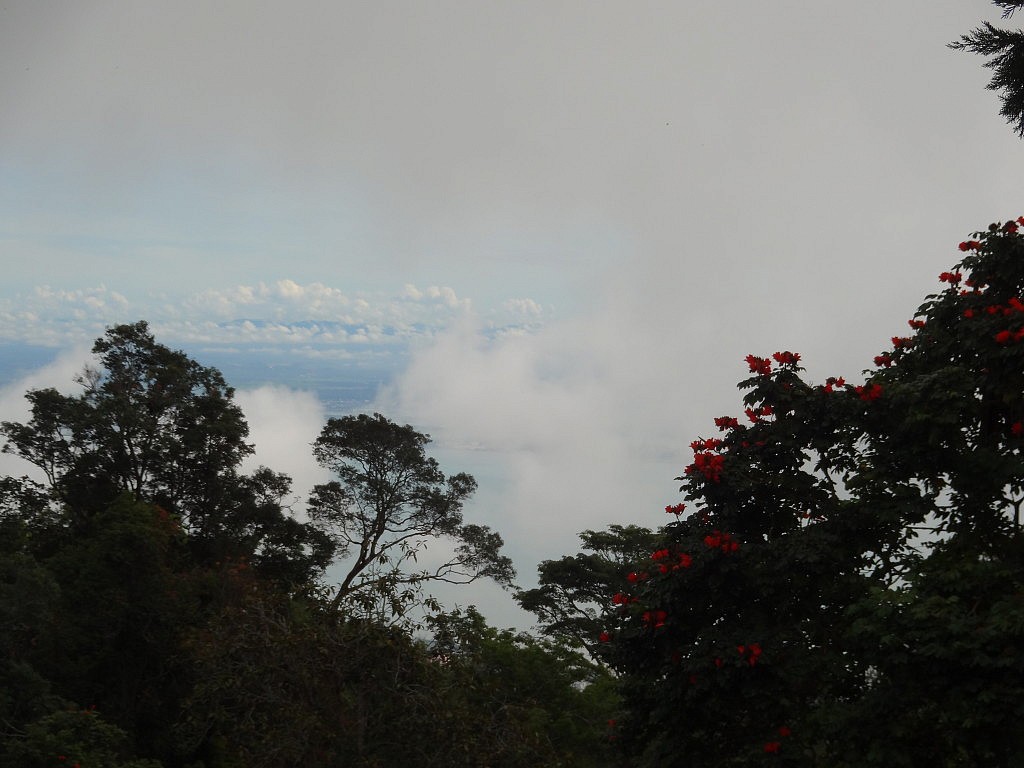 Momentaufnahmen (Penang)