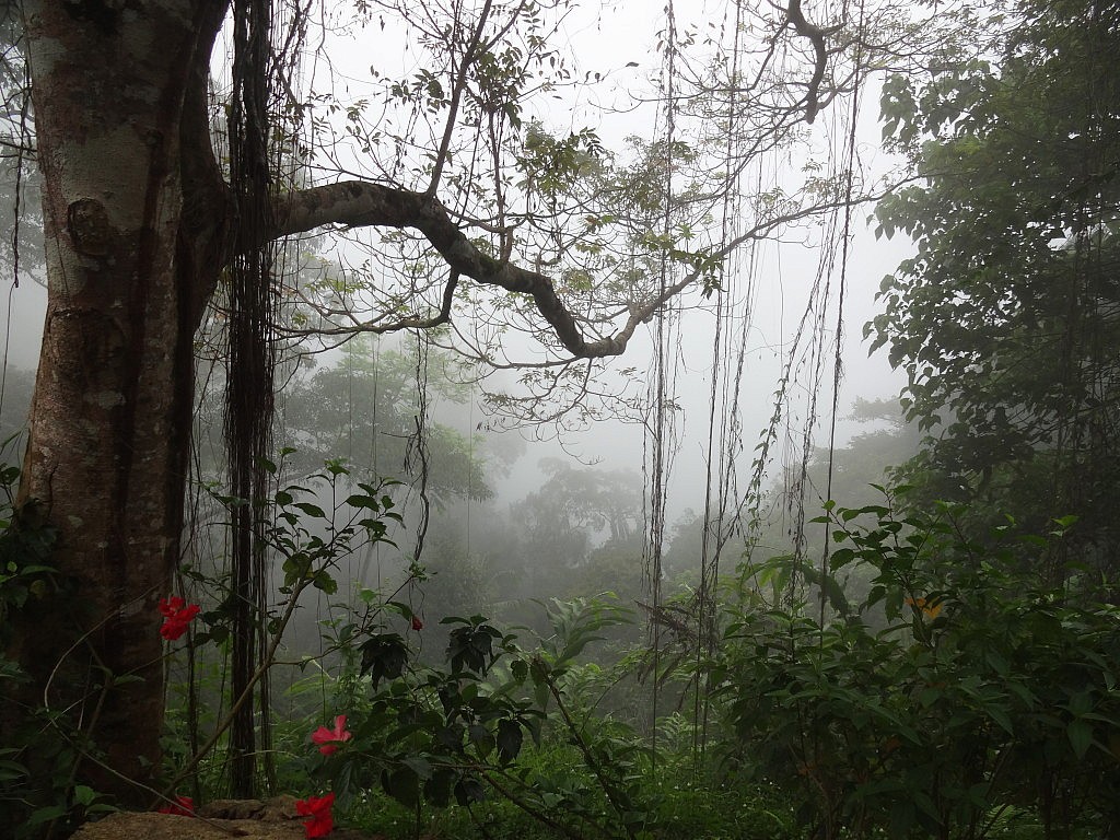 Momentaufnahmen (Penang)
