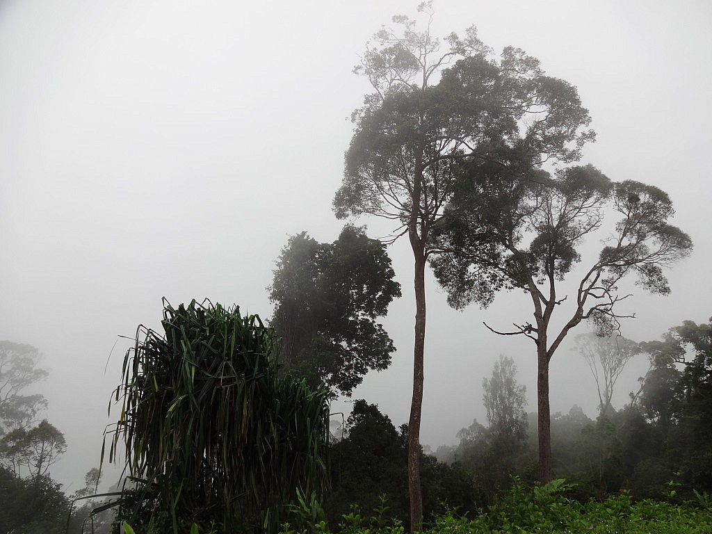 Momentaufnahmen (Penang)