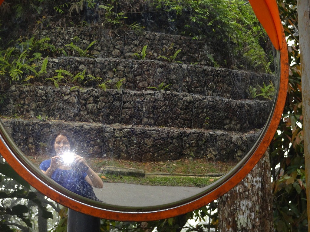 Momentaufnahmen (Penang)