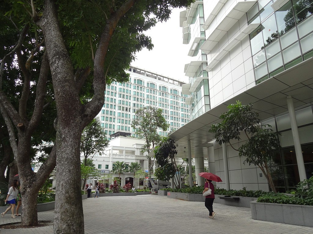 Momentaufnahmen (Singapur))