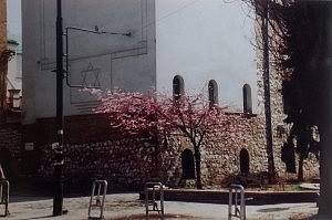 IMG_20150422_091245955