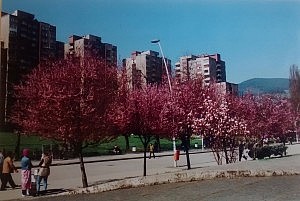 IMG_20150422_091432294