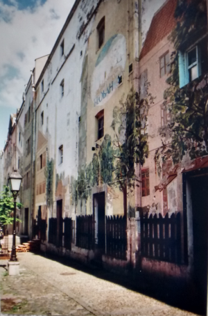 IMG_20150507_133528681_HDR